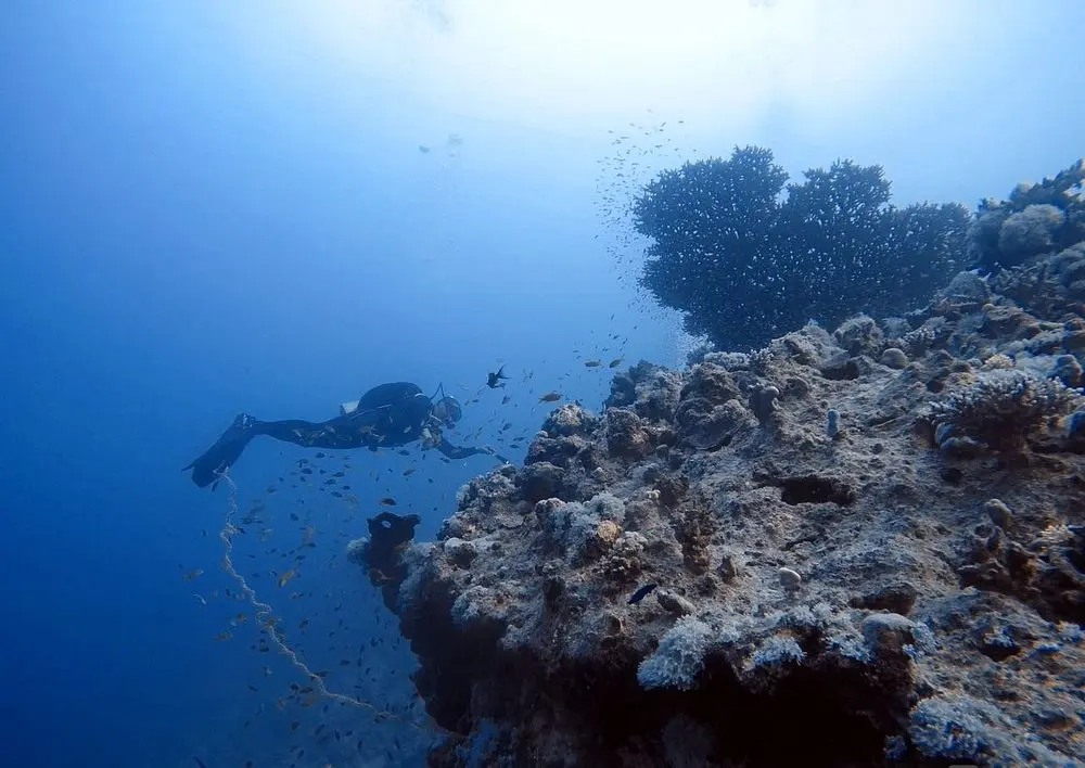 Sharm El Naga Snorkeling Trip from Hurghada